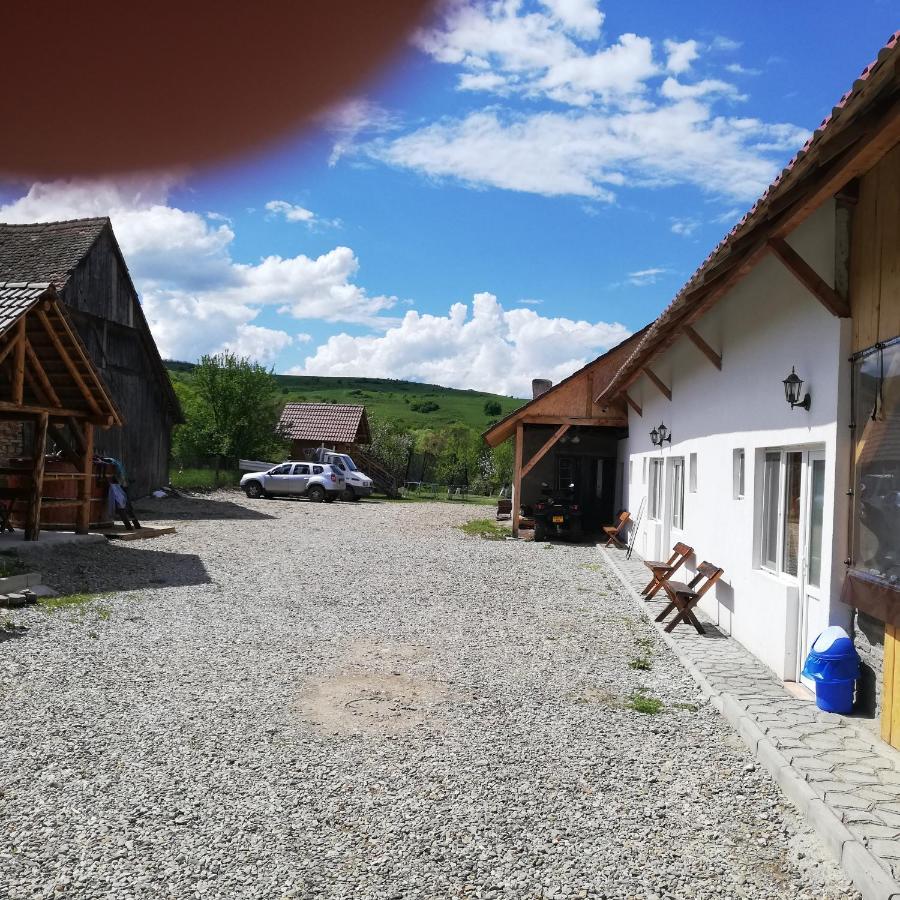 Casa Din Barcut Pension Buitenkant foto