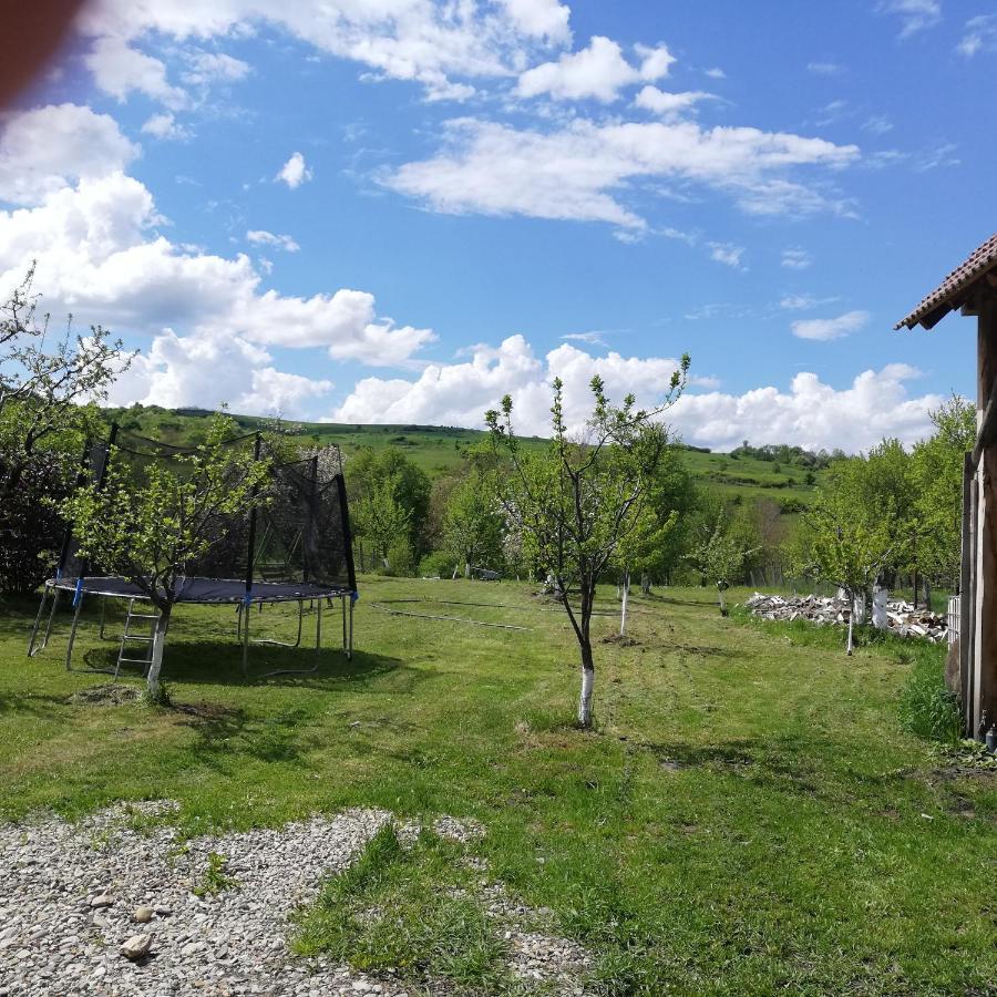 Casa Din Barcut Pension Buitenkant foto