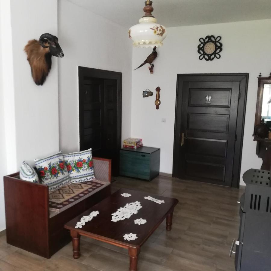 Casa Din Barcut Pension Buitenkant foto