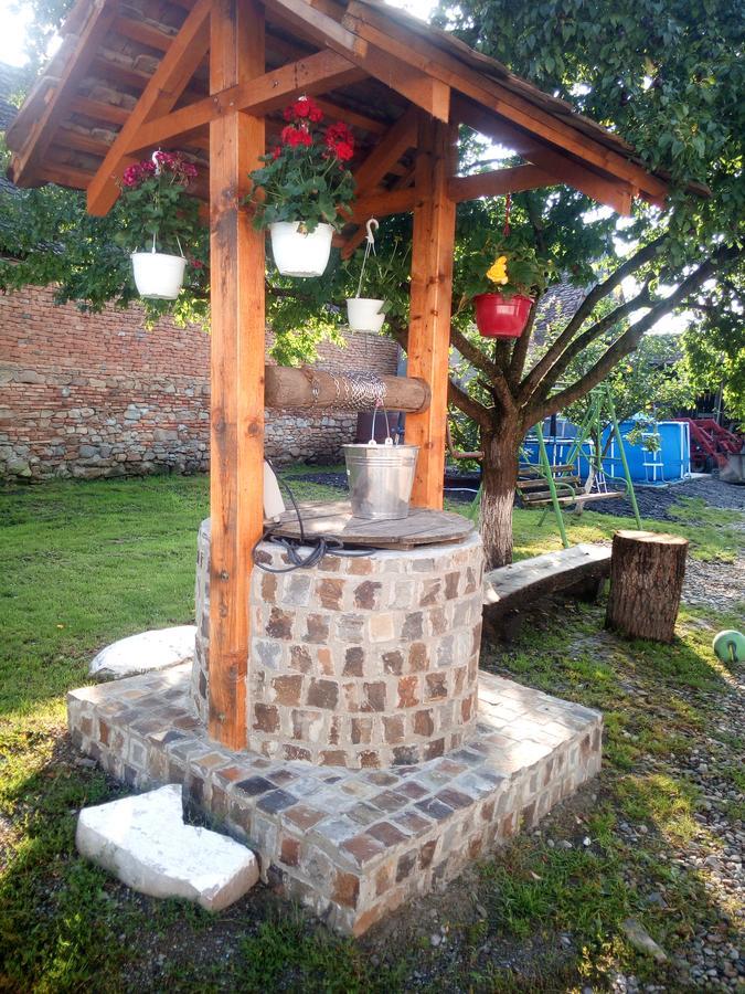 Casa Din Barcut Pension Buitenkant foto