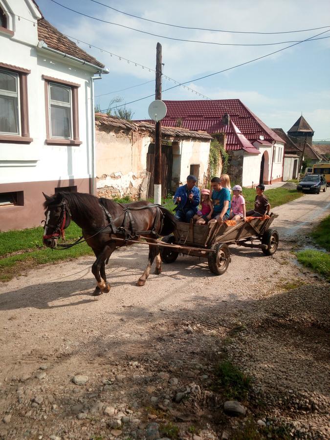 Casa Din Barcut Pension Buitenkant foto