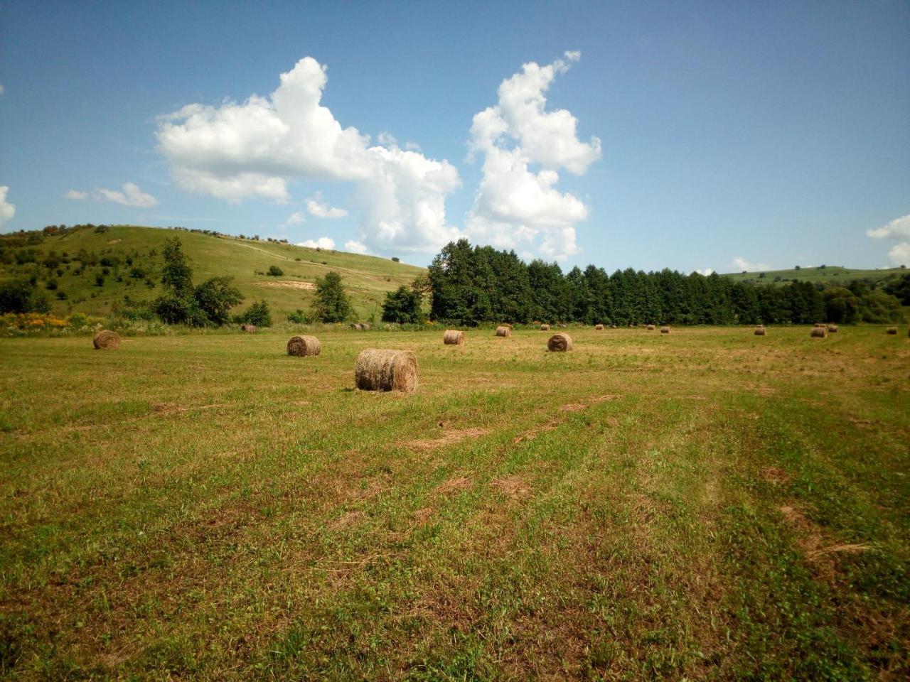 Casa Din Barcut Pension Buitenkant foto