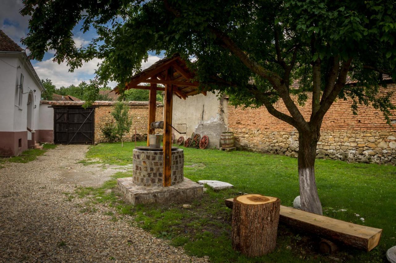 Casa Din Barcut Pension Buitenkant foto