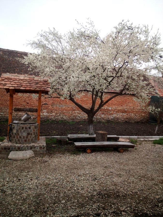 Casa Din Barcut Pension Buitenkant foto